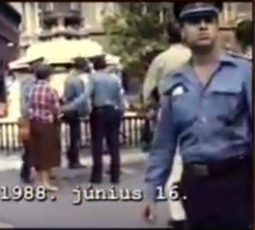 Plot #301, 1988. Documentary film